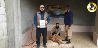 akika kurbanlariniz yetim ve oksuzlere umut oluyor 01
