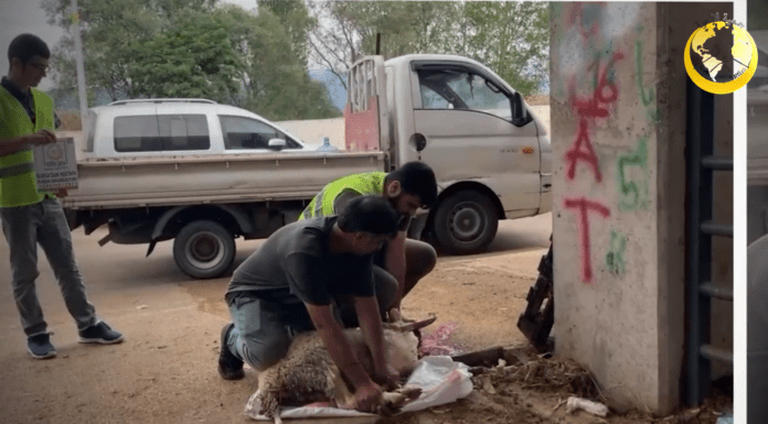 Kurban Bagislarinizi Turkiye De Kesiyoruz