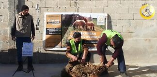 Kurban Bereketini Yeryuzune Yaymak Ister Misin